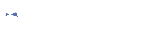 Asset Ninja Logo